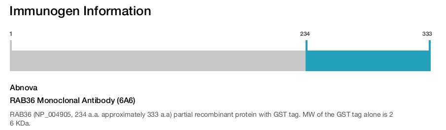 RAB36 Monoclonal Antibody (6A6)
