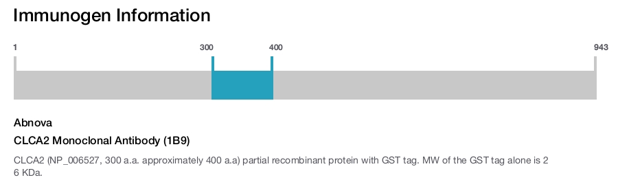 CLCA2 Monoclonal Antibody (1B9)