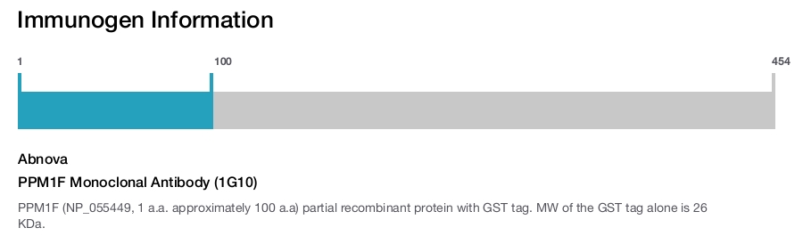 PPM1F Monoclonal Antibody (1G10)