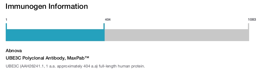 UBE3C Polyclonal Antibody, MaxPab™