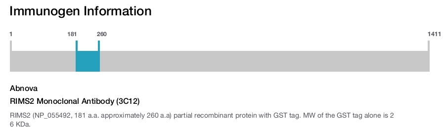 RIMS2 Monoclonal Antibody (3C12)