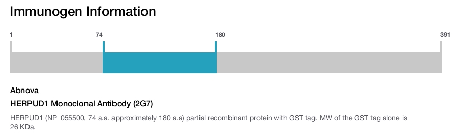 HERPUD1 Monoclonal Antibody (2G7)
