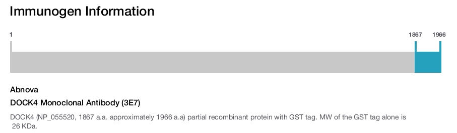 DOCK4 Monoclonal Antibody (3E7)