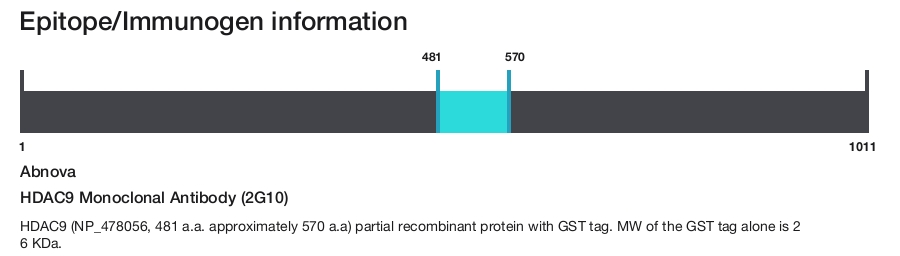 HDAC9 Monoclonal Antibody (2G10)