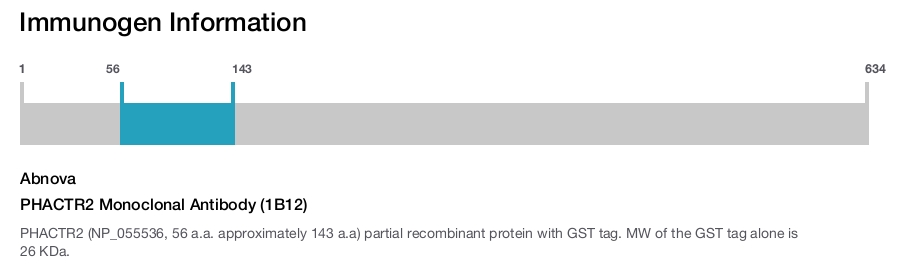 PHACTR2 Monoclonal Antibody (1B12)