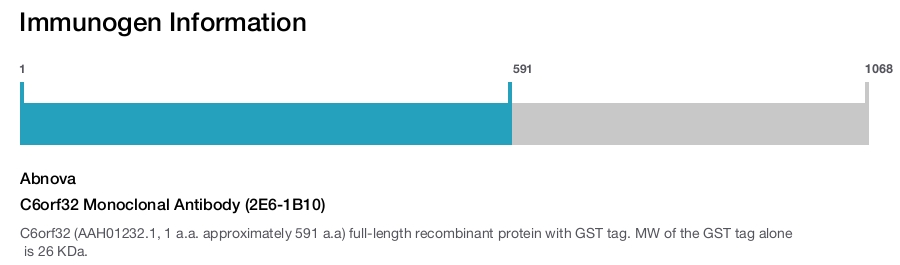 C6orf32 Monoclonal Antibody (2E6-1B10)