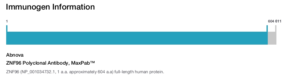 ZNF96 Polyclonal Antibody, MaxPab™