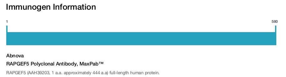 RAPGEF5 Polyclonal Antibody, MaxPab™