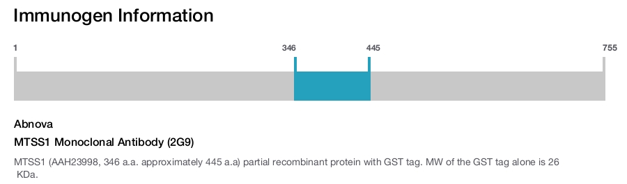 MTSS1 Monoclonal Antibody (2G9)