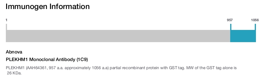 PLEKHM1 Monoclonal Antibody (1C9)