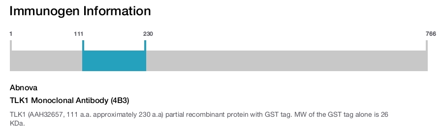 TLK1 Monoclonal Antibody (4B3)