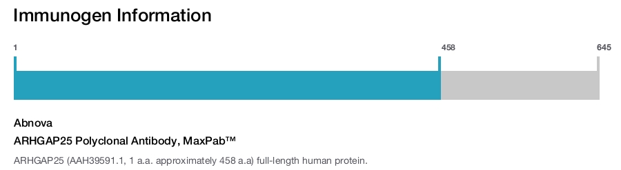ARHGAP25 Polyclonal Antibody, MaxPab™