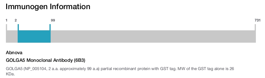 GOLGA5 Monoclonal Antibody (6B3)
