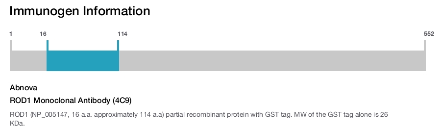 ROD1 Monoclonal Antibody (4C9)