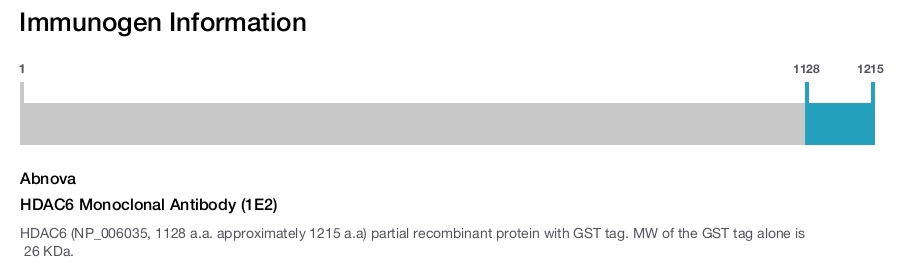 HDAC6 Monoclonal Antibody (1E2)