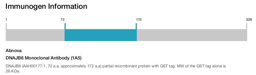 DNAJB6 Monoclonal Antibody (1A5)