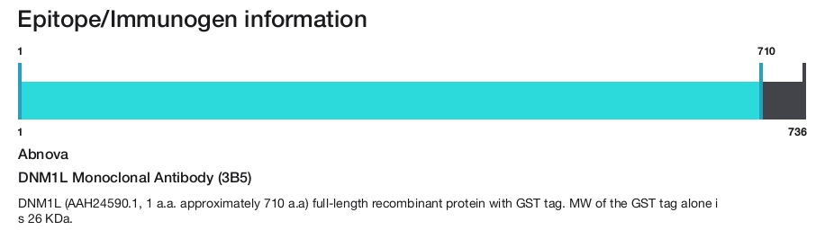 DNM1L Monoclonal Antibody (3B5)