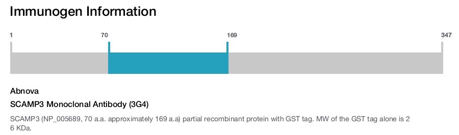 SCAMP3 Monoclonal Antibody (3G4)