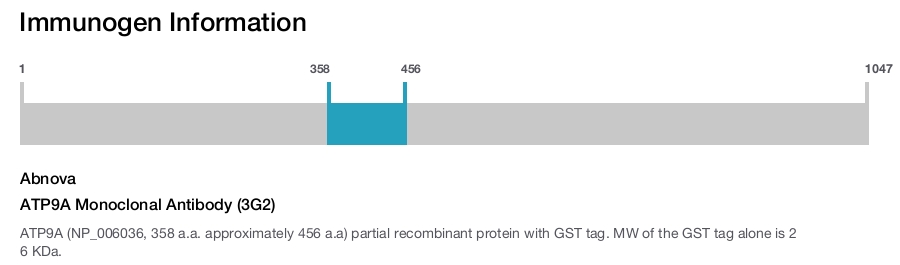 ATP9A Monoclonal Antibody (3G2)