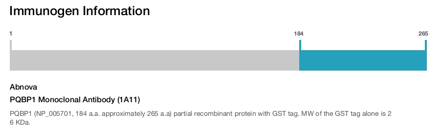 PQBP1 Monoclonal Antibody (1A11)