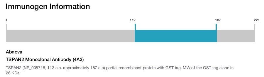 TSPAN2 Monoclonal Antibody (4A3)