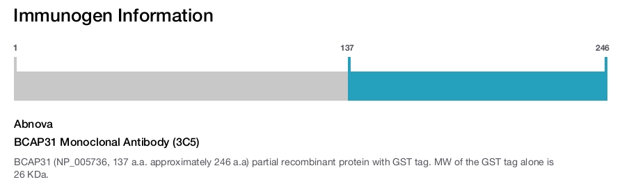 BCAP31 Monoclonal Antibody (3C5)