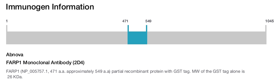 FARP1 Monoclonal Antibody (2D4)