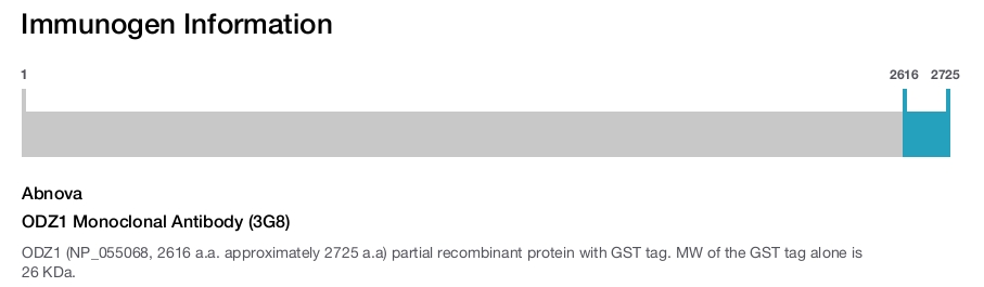ODZ1 Monoclonal Antibody (3G8)