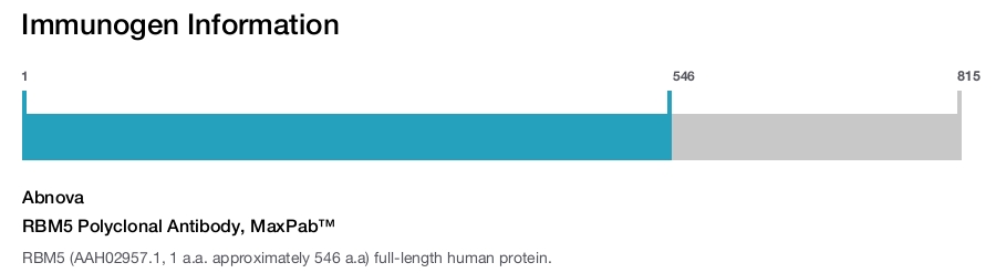 RBM5 Polyclonal Antibody, MaxPab™