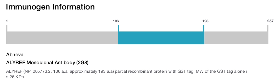 ALYREF Monoclonal Antibody (2G8)