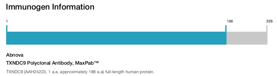 TXNDC9 Polyclonal Antibody, MaxPab™