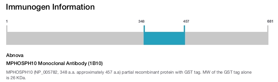MPHOSPH10 Monoclonal Antibody (1B10)