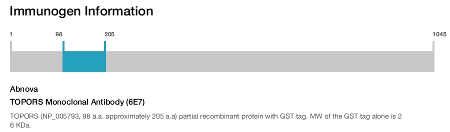 TOPORS Monoclonal Antibody (6E7)