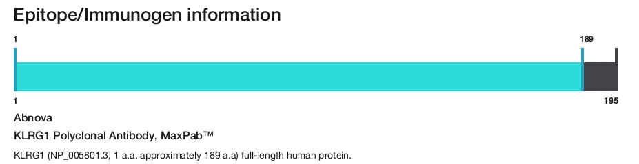 KLRG1 Polyclonal Antibody, MaxPab&trade;