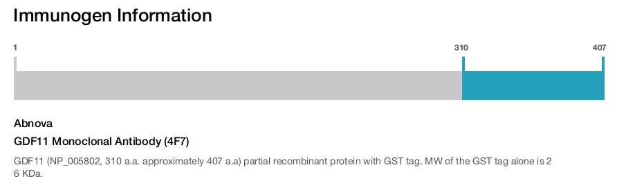 GDF11 Monoclonal Antibody (4F7)