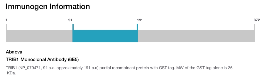 TRIB1 Monoclonal Antibody (6E5)
