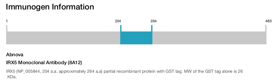IRX5 Monoclonal Antibody (8A12)
