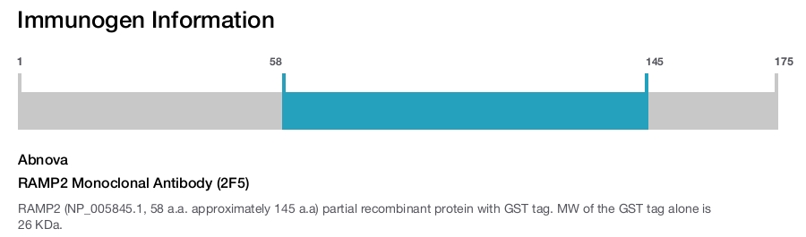 RAMP2 Monoclonal Antibody (2F5)