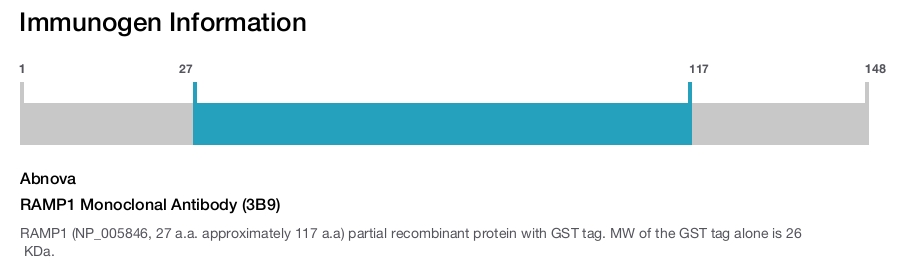 RAMP1 Monoclonal Antibody (3B9)