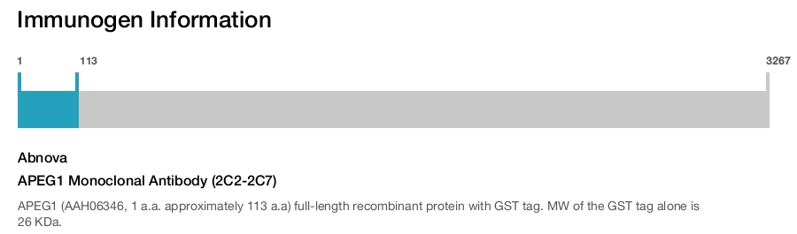 APEG1 Monoclonal Antibody (2C2-2C7)