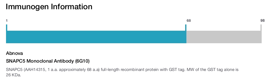 SNAPC5 Monoclonal Antibody (6G10)