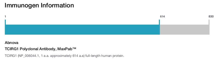 TCIRG1 Polyclonal Antibody, MaxPab™