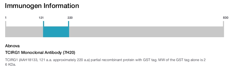 TCIRG1 Monoclonal Antibody (7H20)