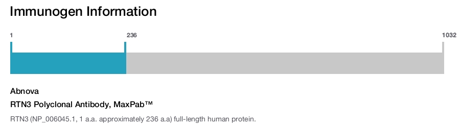 RTN3 Polyclonal Antibody, MaxPab™