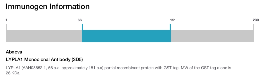 LYPLA1 Monoclonal Antibody (3D5)