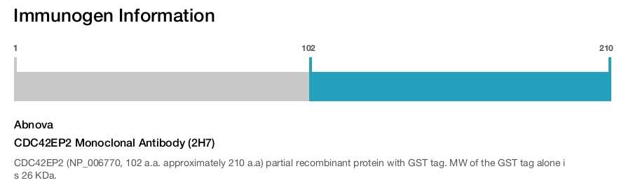 CDC42EP2 Monoclonal Antibody (2H7)