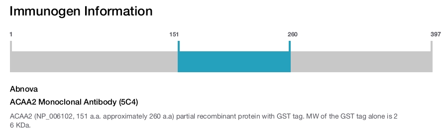 ACAA2 Monoclonal Antibody (5C4)