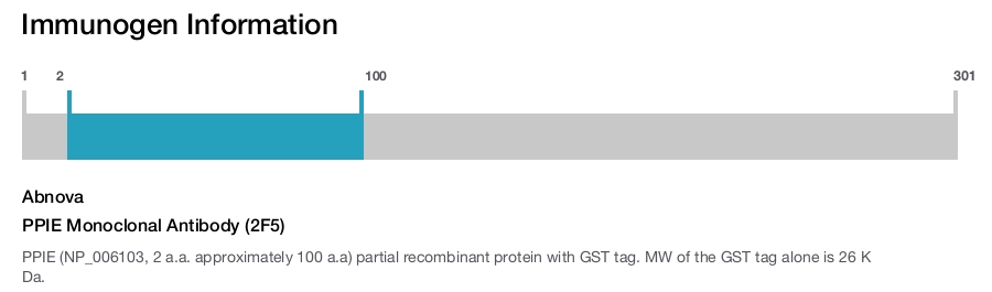 PPIE Monoclonal Antibody (2F5)