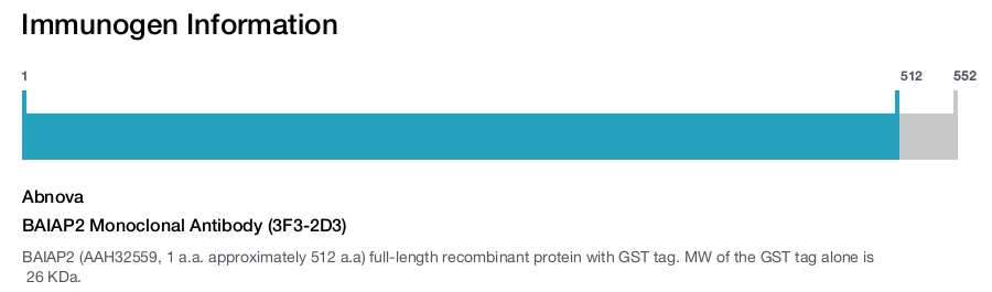 BAIAP2 Monoclonal Antibody (3F3-2D3)