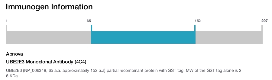 UBE2E3 Monoclonal Antibody (4C4)